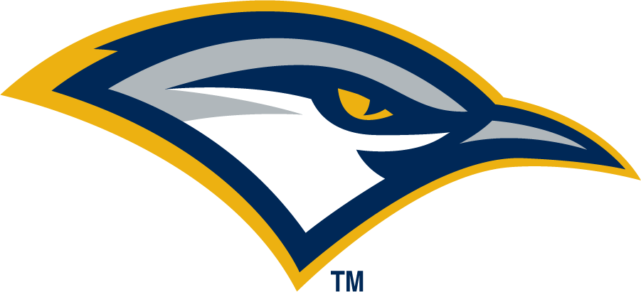 Chattanooga Mocs 2008-Pres Secondary Logo diy iron on heat transfer